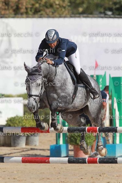 VADILONGA_MUSICO_GIO CAV 2011_SS3_9071.jpg